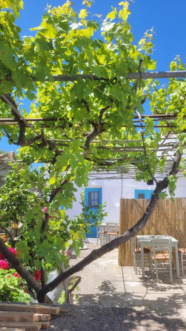 Kamaraki Aroniadika Apartment Kythira Town